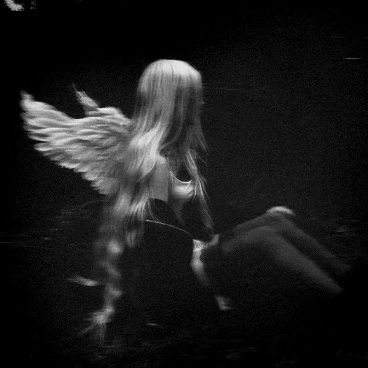 Digital Dove Pack.1